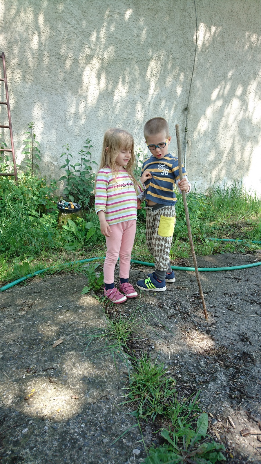 DSC 0345
