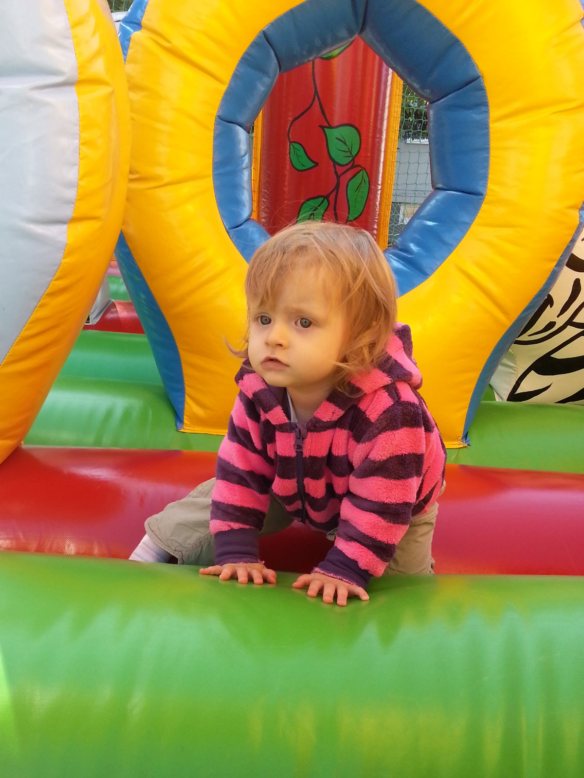 IMG 20130928 115524