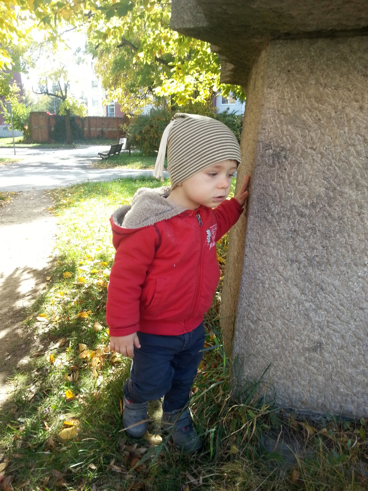 IMG 20131013 124154
