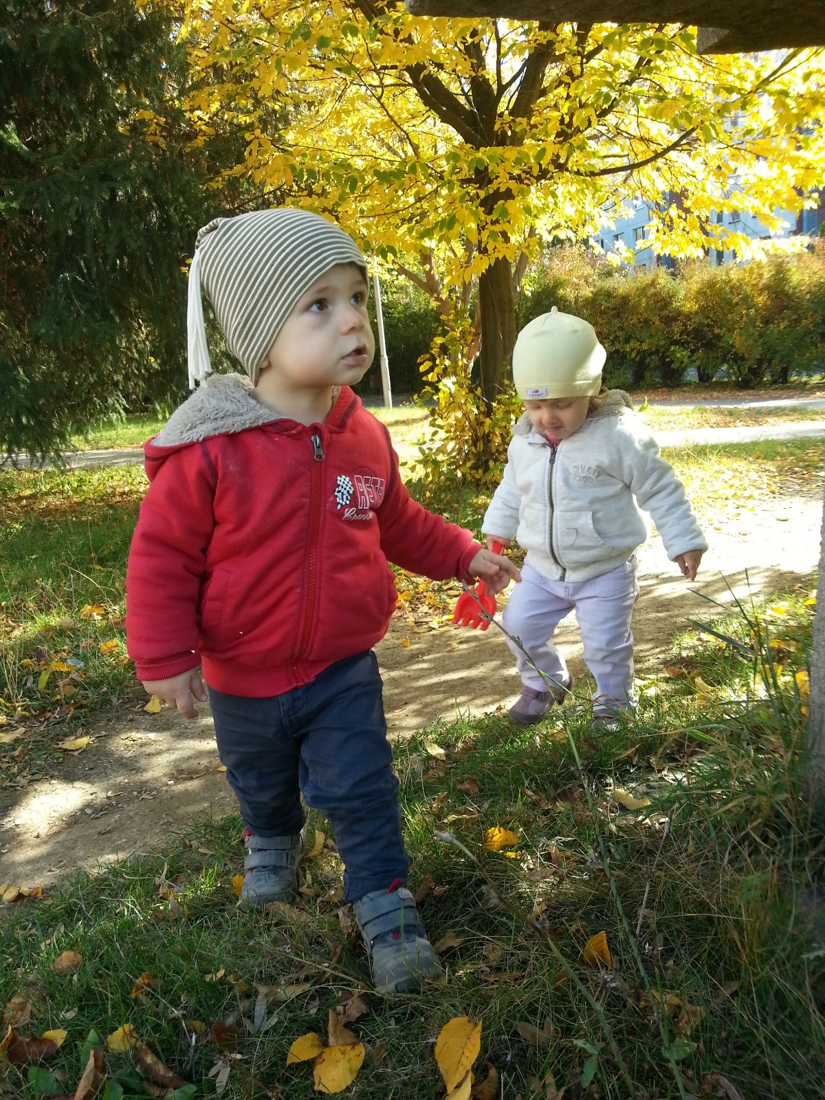 IMG 20131013 124413