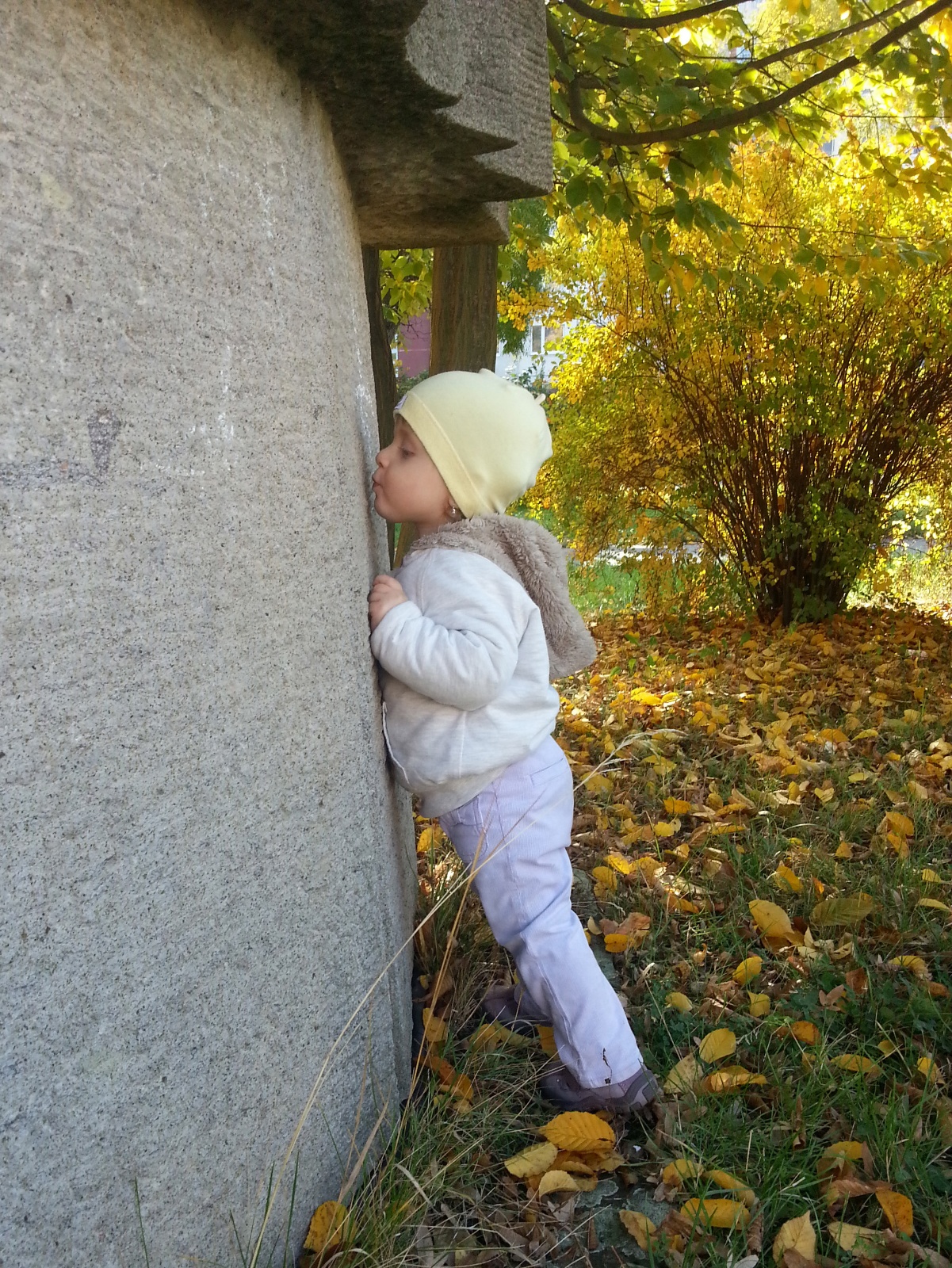 IMG 20131013 124531