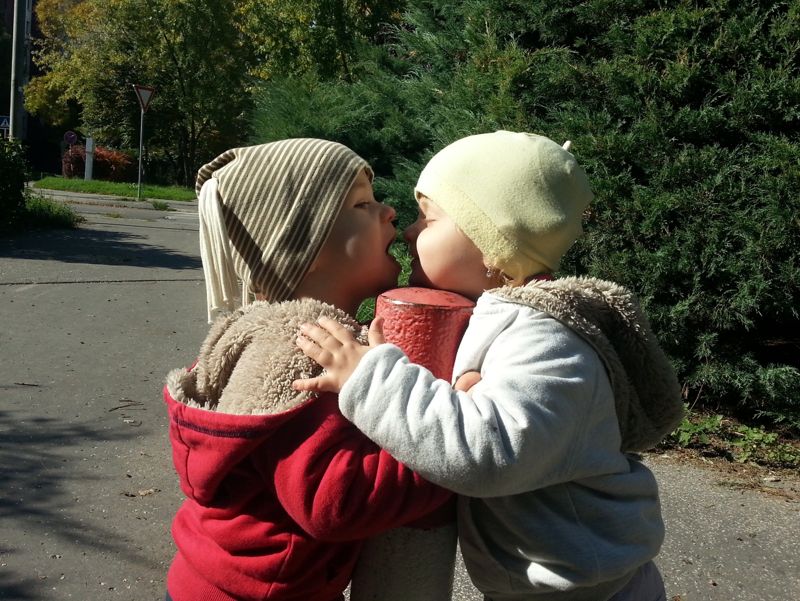 IMG 20131013 125826