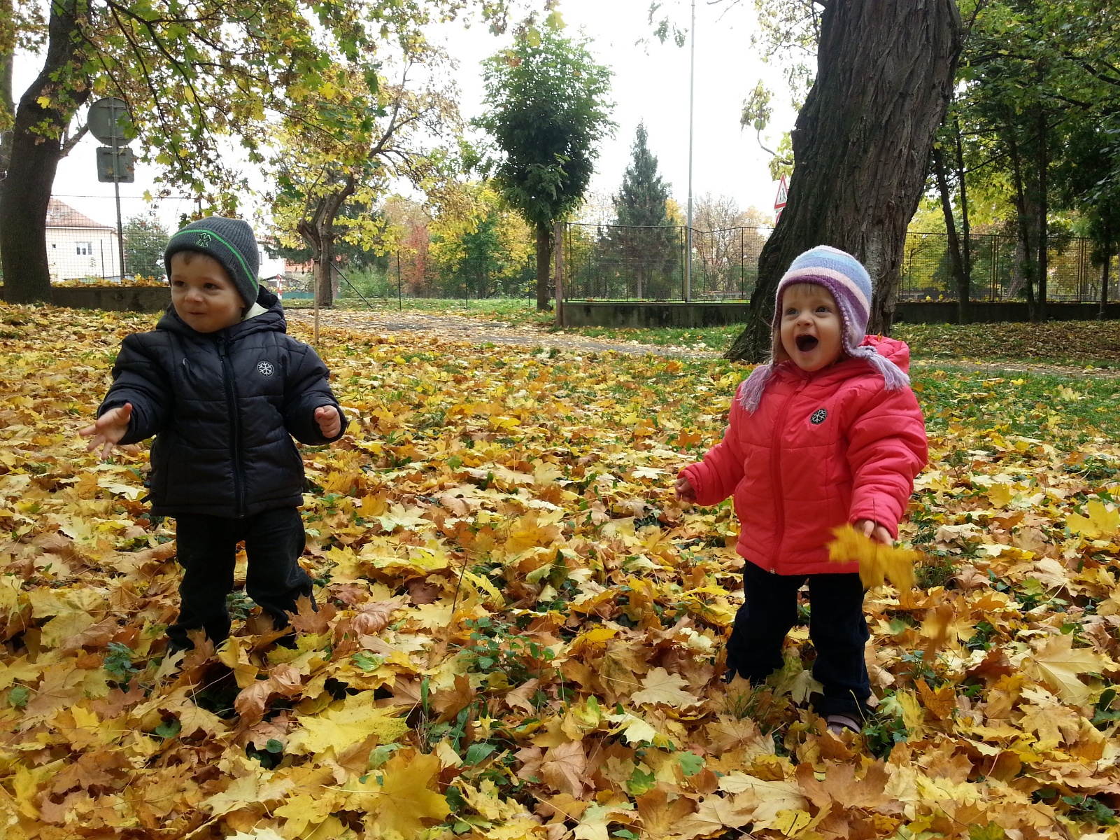 IMG 20131019 120315