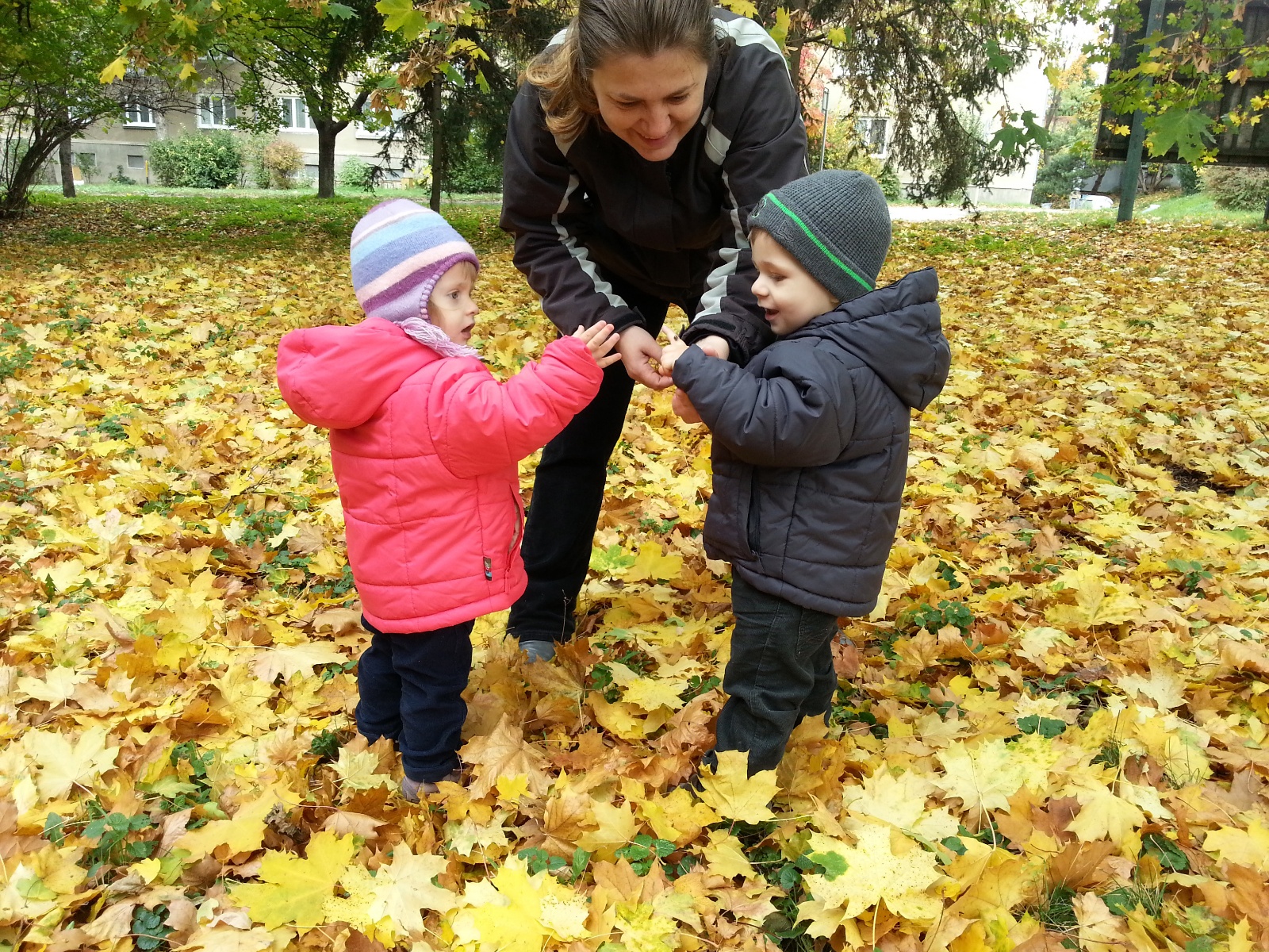 IMG 20131019 120422