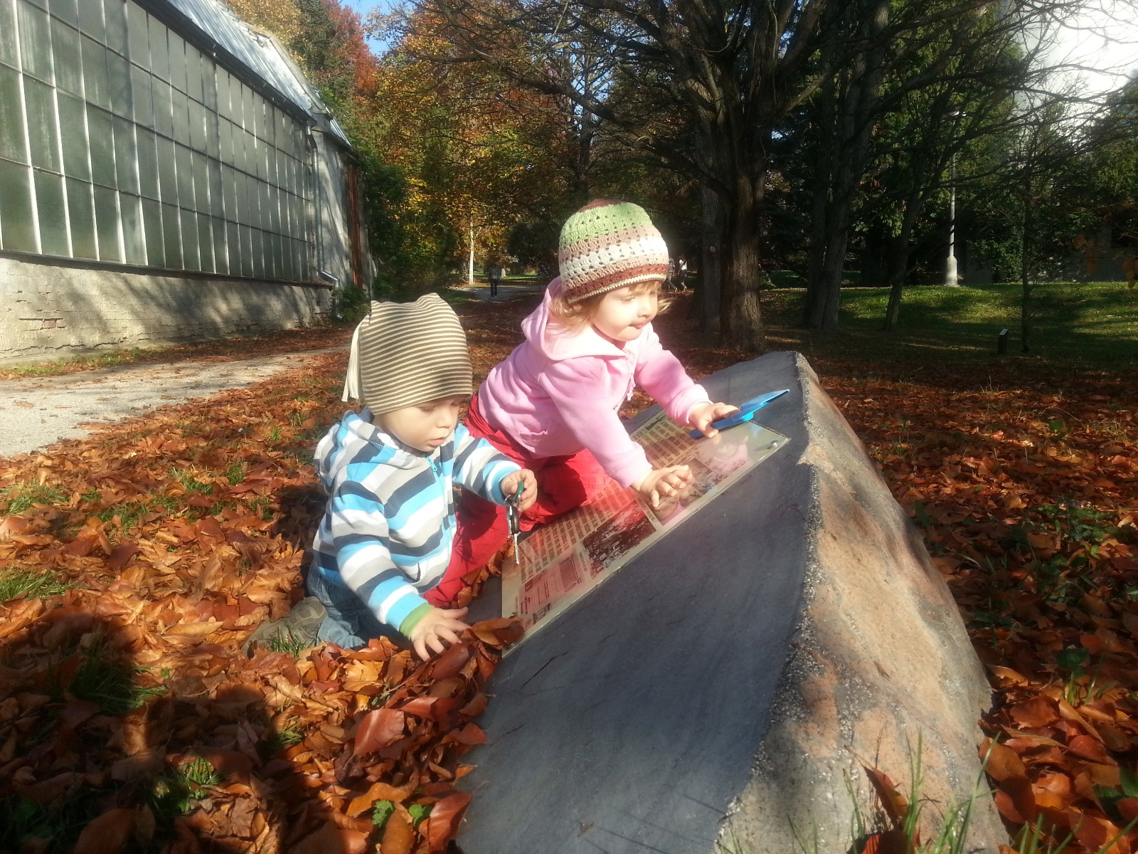 IMG 20131026 143856