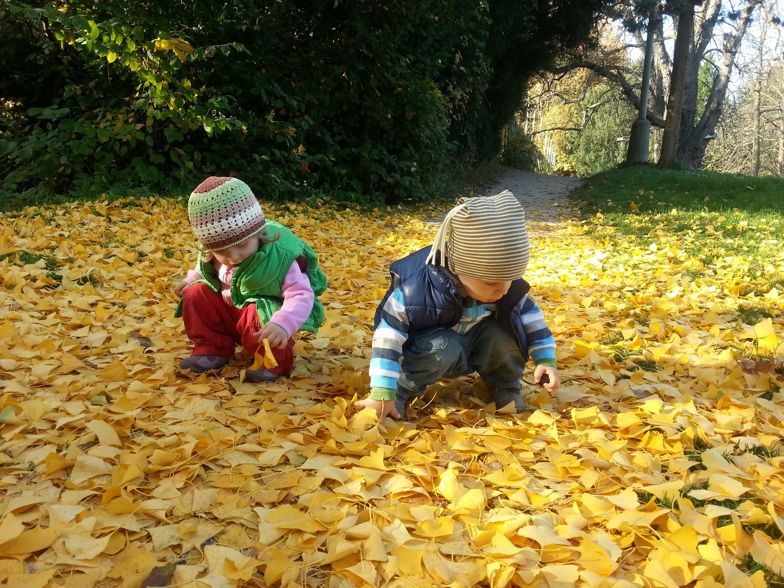 IMG 20131026 151100