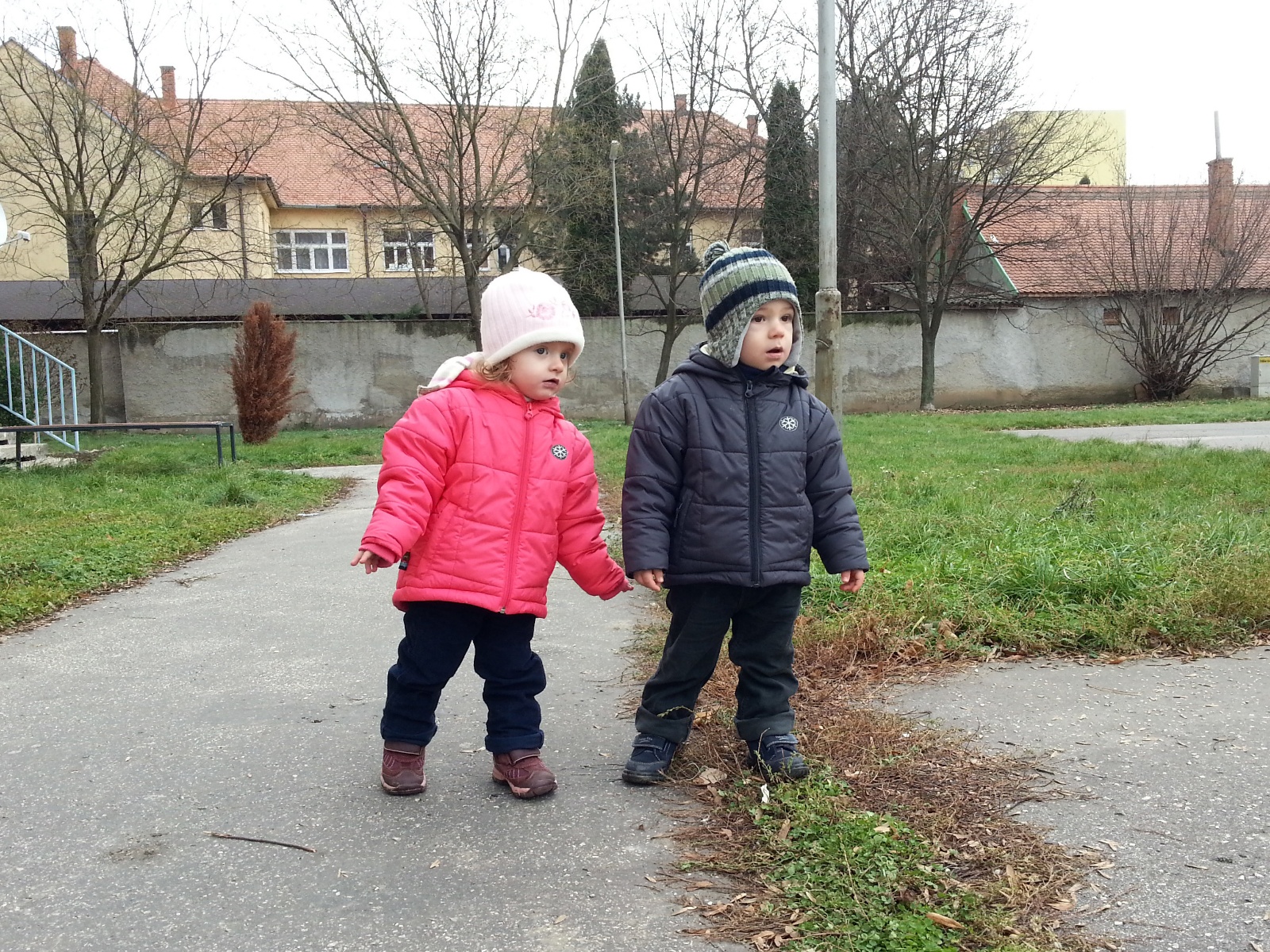 IMG 20131215 114440
