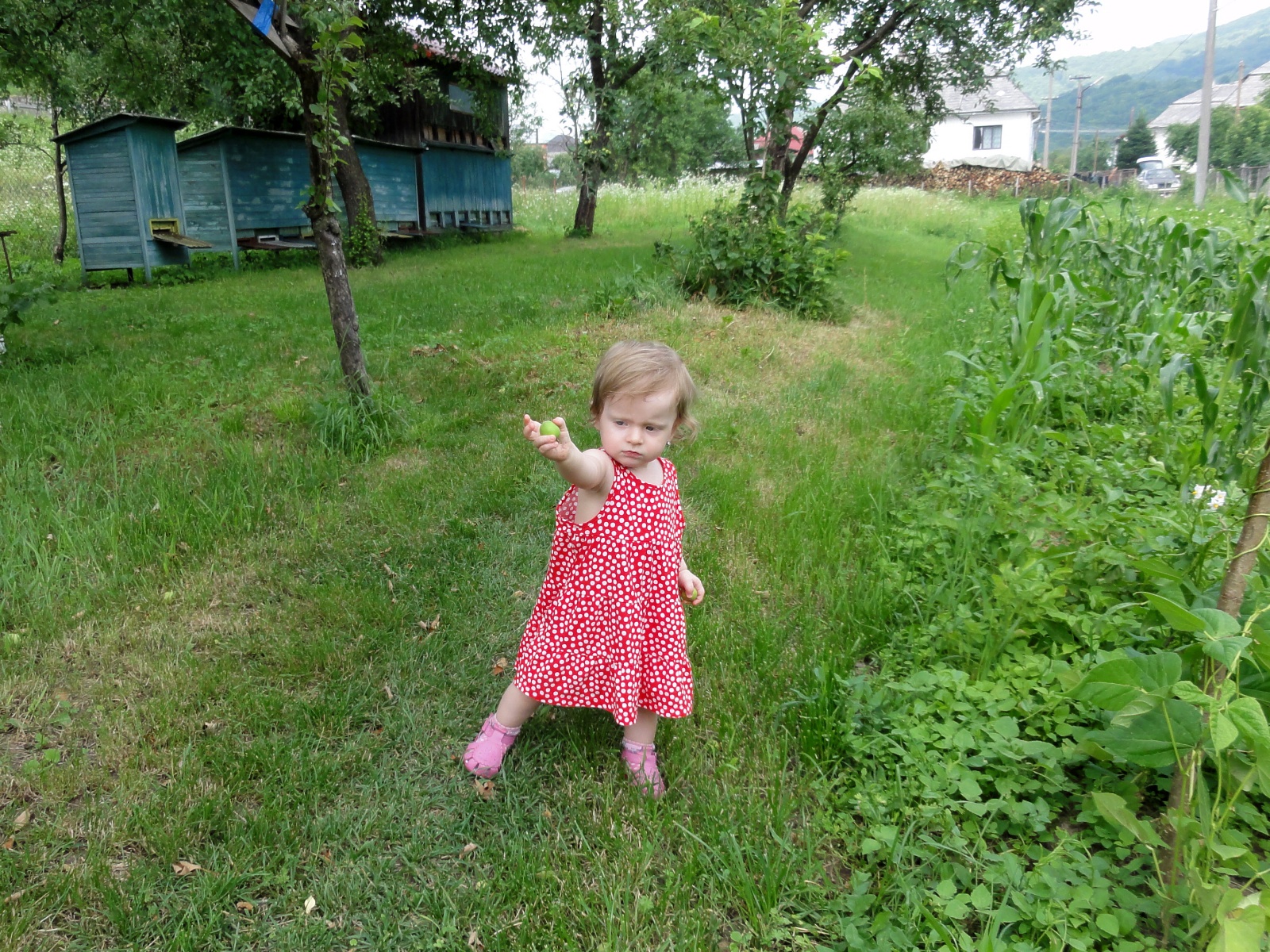 DSC03437